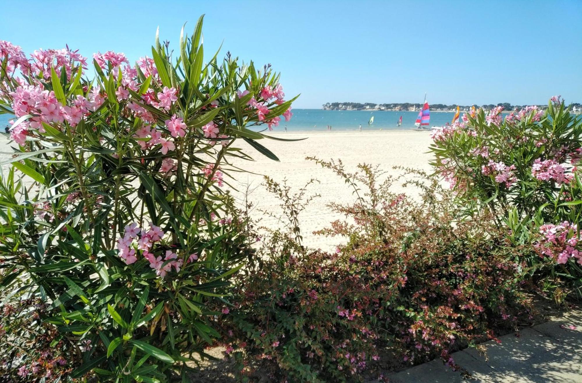 Le Capitole - Studio Plage Benoit Dans Residence Face Mer La Baule-Escoublac Buitenkant foto